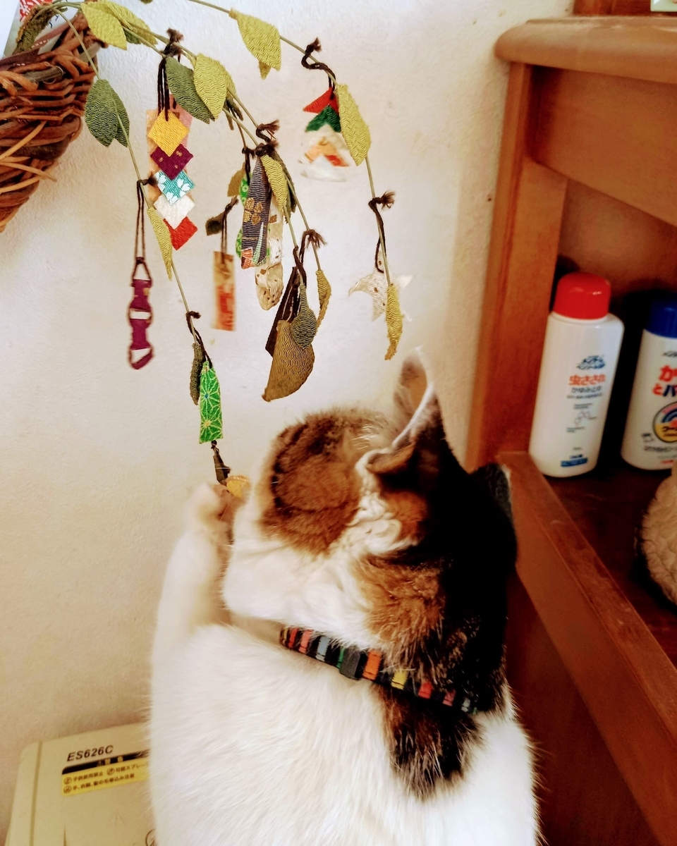 f:id:mishacarrot:20220131214041j:plain