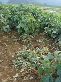 f:id:mishima-ennou1:20111007155535j:image