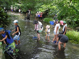 f:id:mishima-river:20140527173755j:image