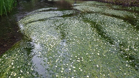 f:id:mishima-river:20140527174555j:image