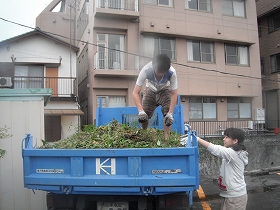 f:id:mishima-river:20140527174952j:image