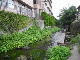 f:id:mishima-river:20140527174954j:image