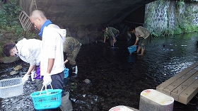 f:id:mishima-river:20140527175355j:image
