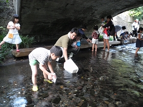 f:id:mishima-river:20140527175356j:image