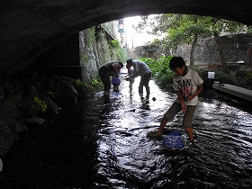 f:id:mishima-river:20140527175358j:image