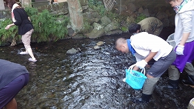 f:id:mishima-river:20140527175400j:image