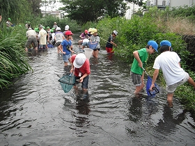 f:id:mishima-river:20140527180115j:image
