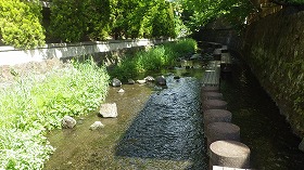 f:id:mishima-river:20140527181449j:image
