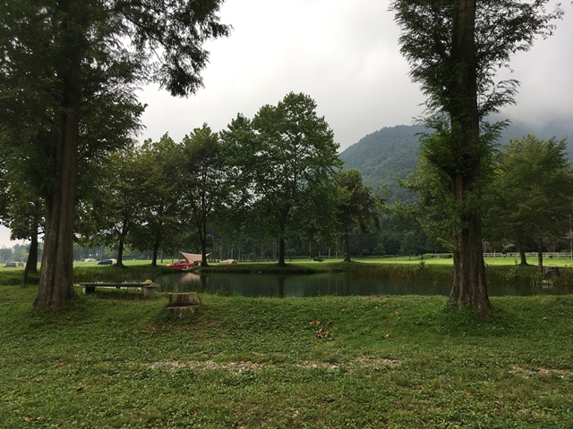 f:id:mishimasaiko:20180910104959j:plain