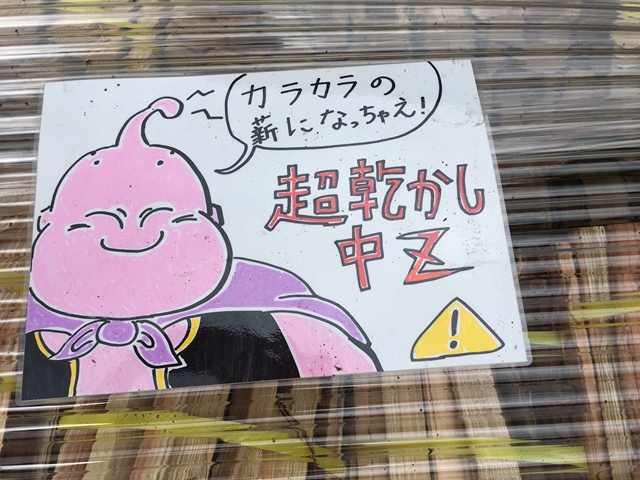 f:id:mishimasaiko:20180910105412j:plain