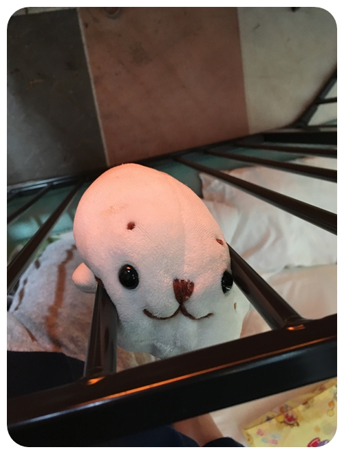 f:id:mishimasaiko:20181111112601j:plain