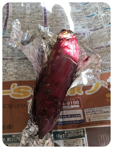 f:id:mishimasaiko:20181220170249j:plain