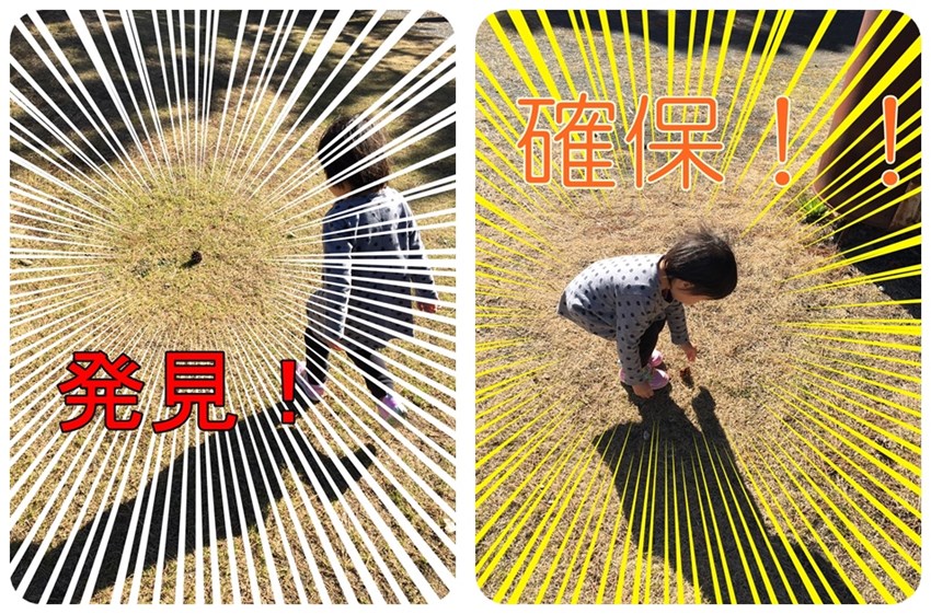 f:id:mishimasaiko:20190215101329j:plain