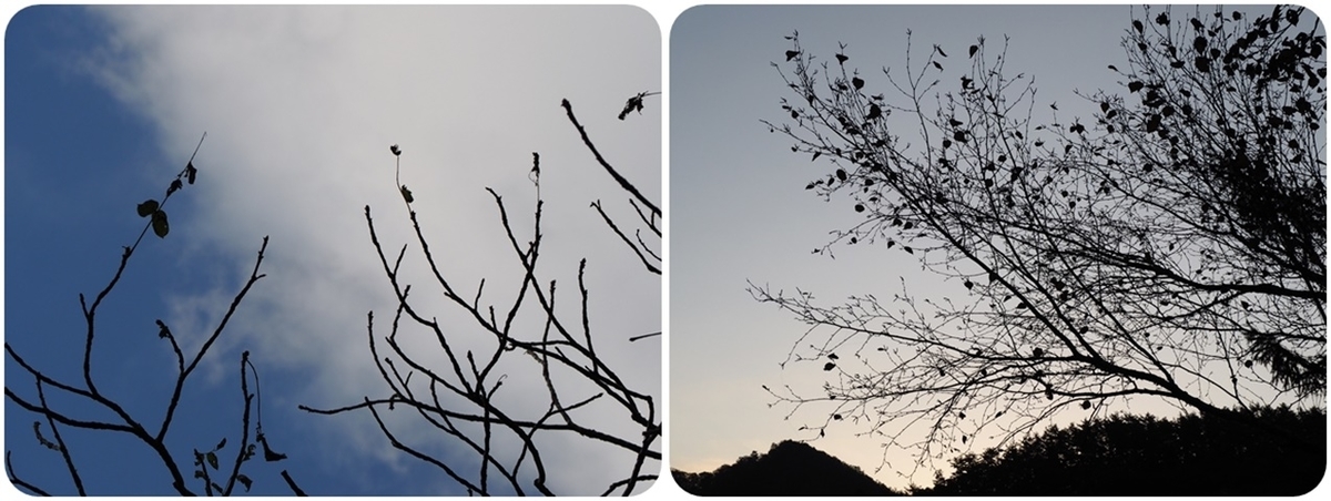 f:id:mishimasaiko:20191113151627j:plain f:id:mishimasaiko:20191113151627j:plain