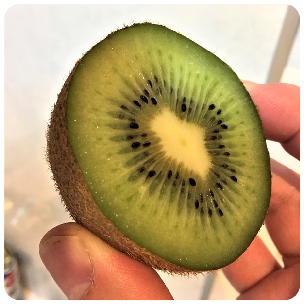 f:id:mishimasaiko:20191226103002j:plain f:id:mishimasaiko:20191226103002j:plain