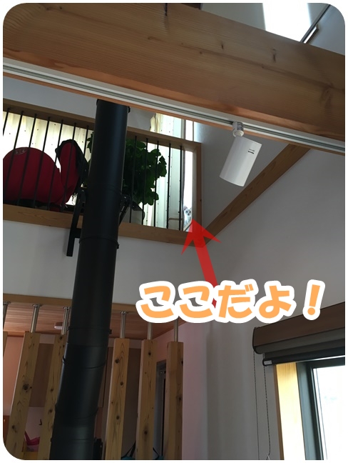 f:id:mishimasaiko:20200819142643j:plain f:id:mishimasaiko:20200819142643j:plain