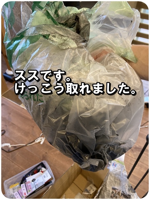f:id:mishimasaiko:20210531154242j:plain