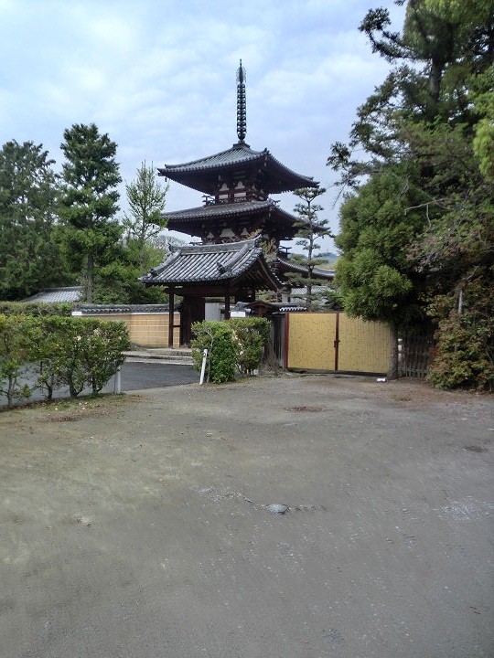 イメージ 16
