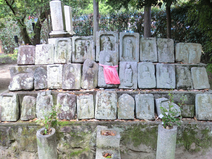イメージ 22