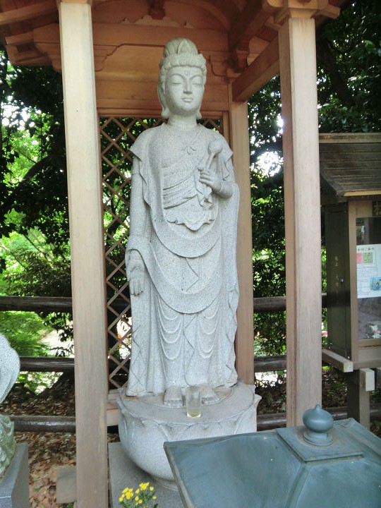 イメージ 15
