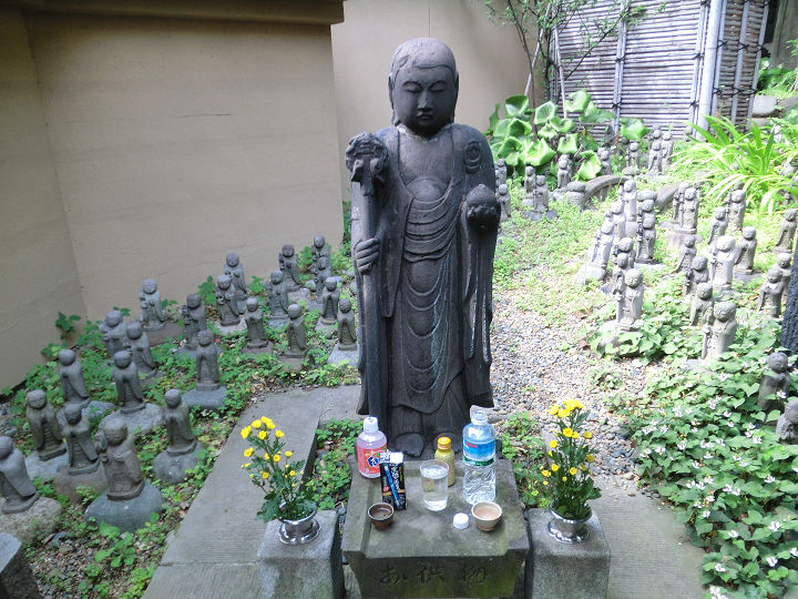 イメージ 6