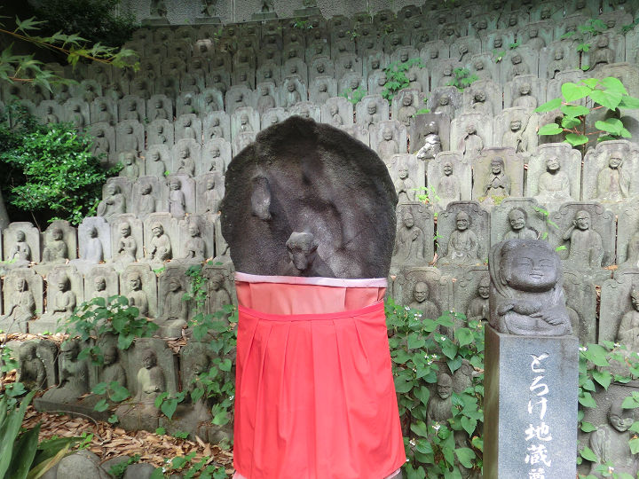 イメージ 9