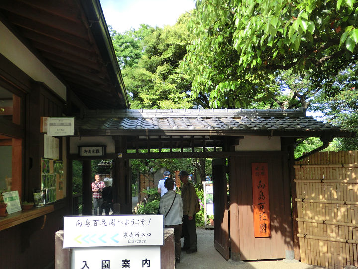 イメージ 6