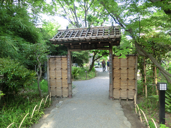 イメージ 7