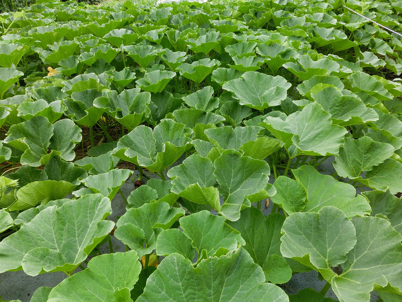 イメージ 14