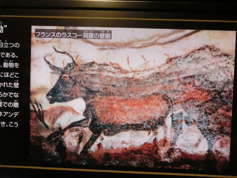 イメージ 13