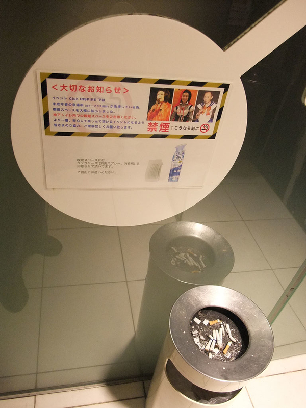イメージ 7