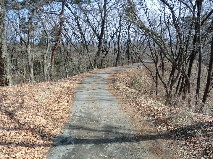 イメージ 14