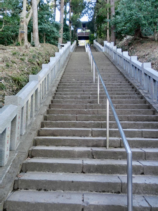 イメージ 3
