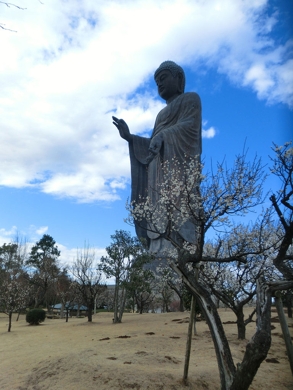 イメージ 27