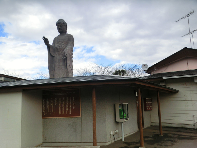 イメージ 7