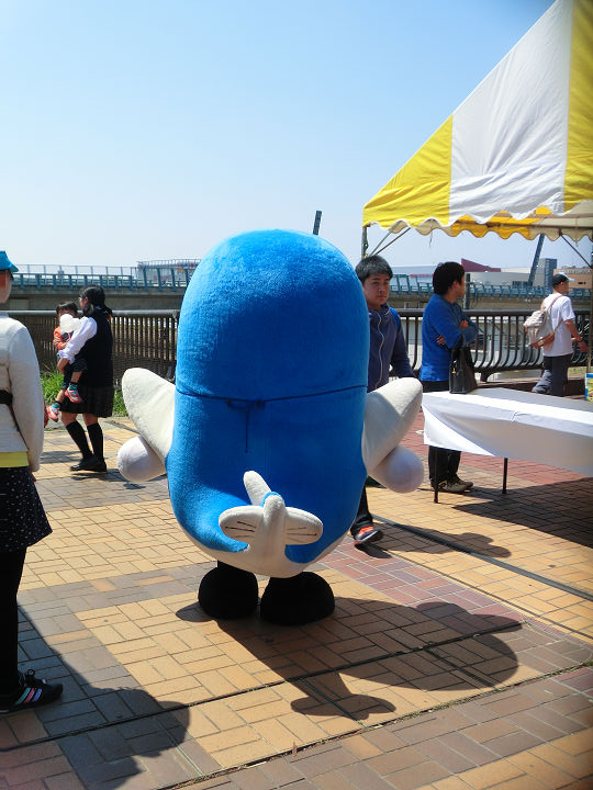 イメージ 8