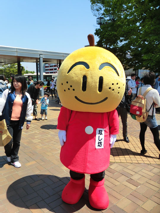 イメージ 10