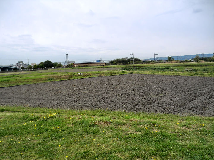 イメージ 16
