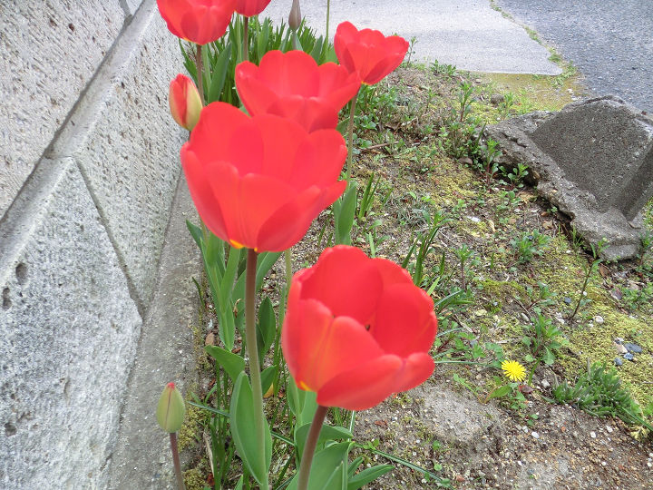 イメージ 9