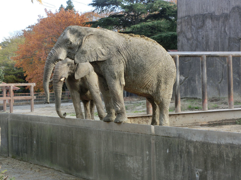 イメージ 12
