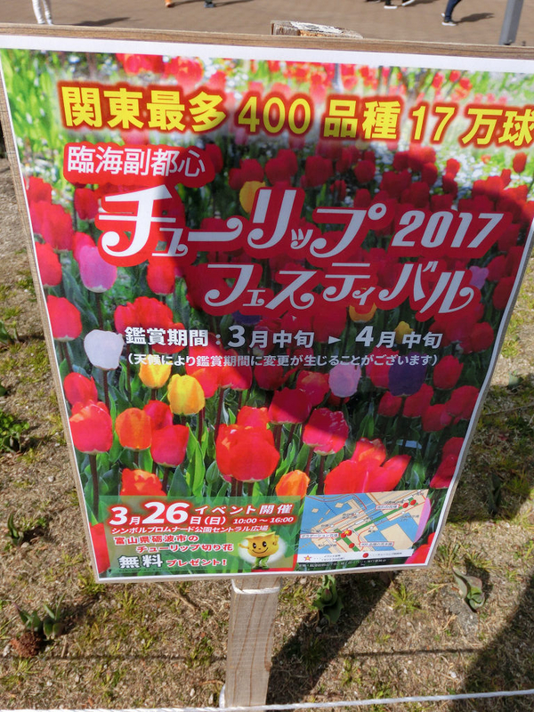 イメージ 14