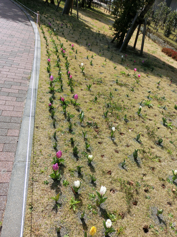 イメージ 10