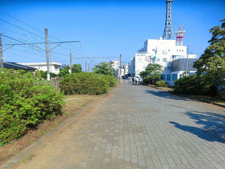 イメージ 7