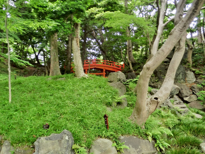 イメージ 6