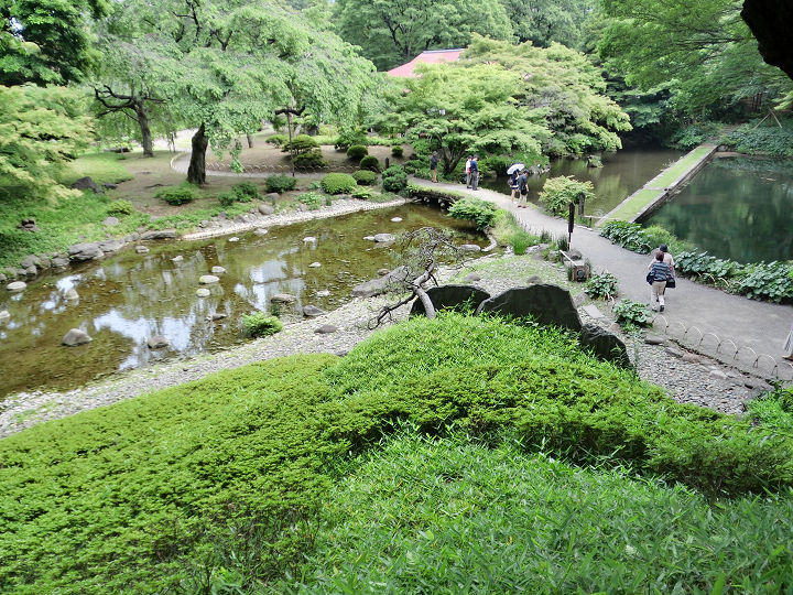イメージ 8