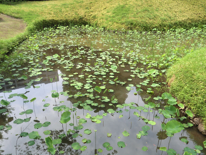 イメージ 9