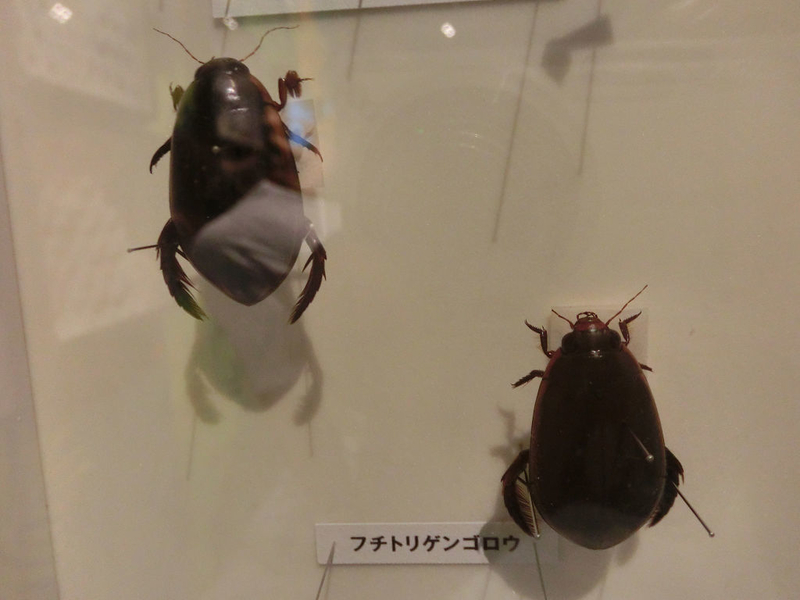 イメージ 22