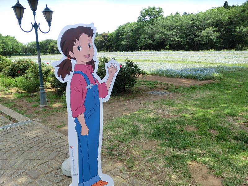 イメージ 26