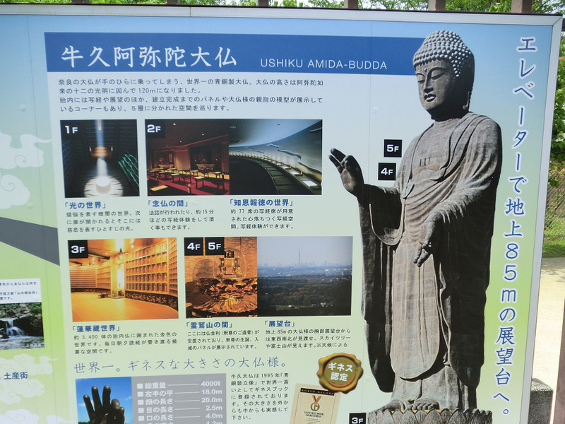 イメージ 30