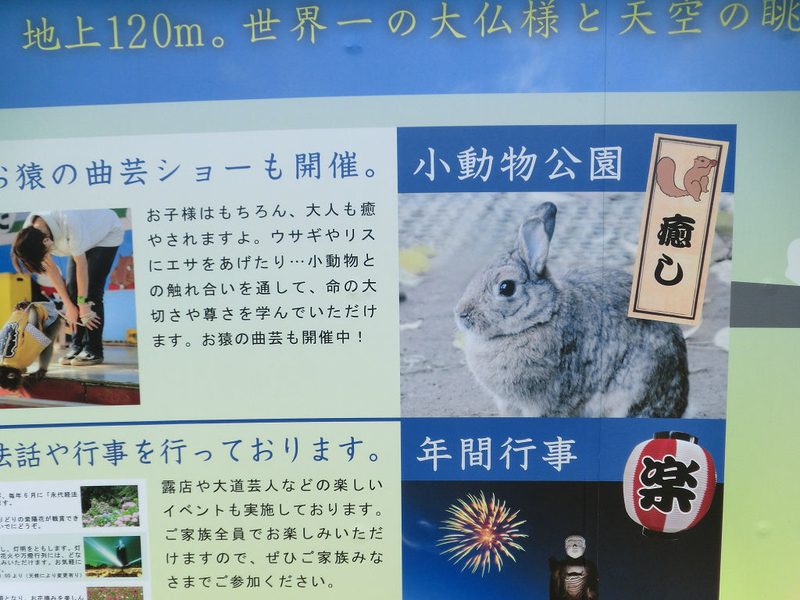 イメージ 31